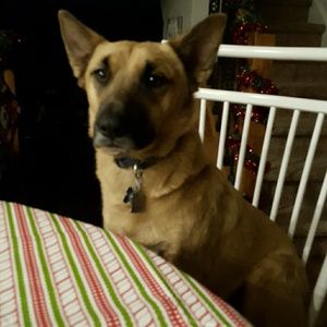 Meet your Posher, Renzo